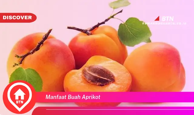 manfaat buah aprikot