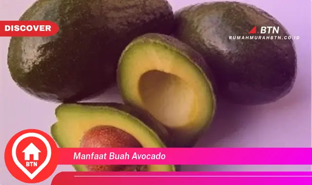 manfaat buah avocado