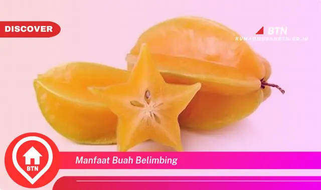 manfaat buah belimbing