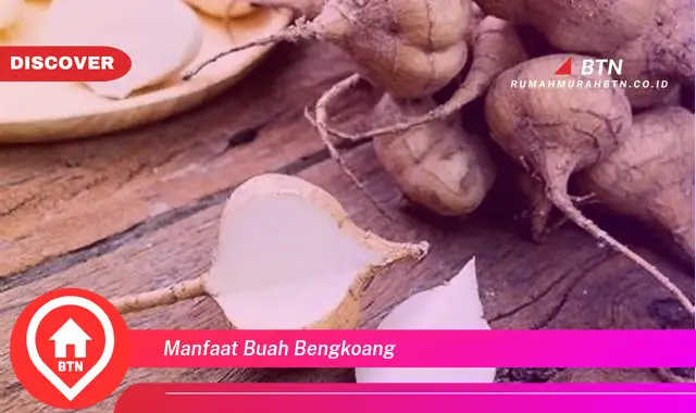 manfaat buah bengkoang