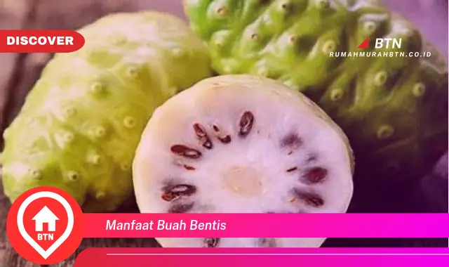 manfaat buah bentis