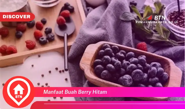 manfaat buah berry hitam