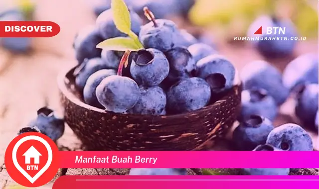 manfaat buah berry