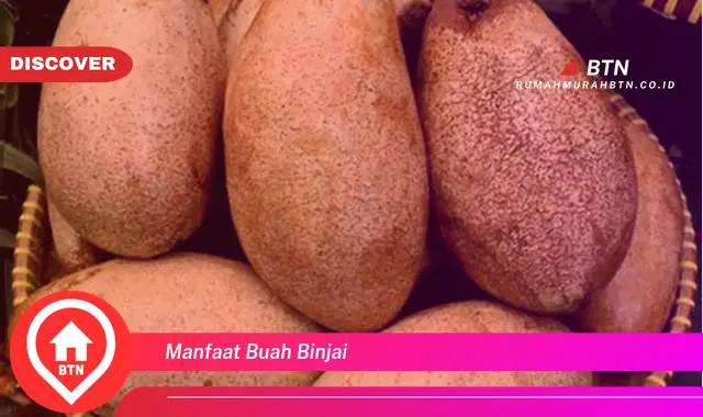 manfaat buah binjai