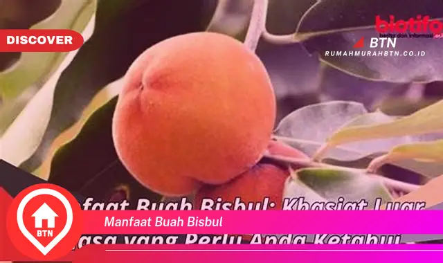 manfaat buah bisbul