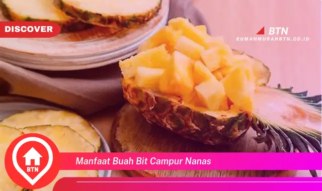 manfaat buah bit campur nanas