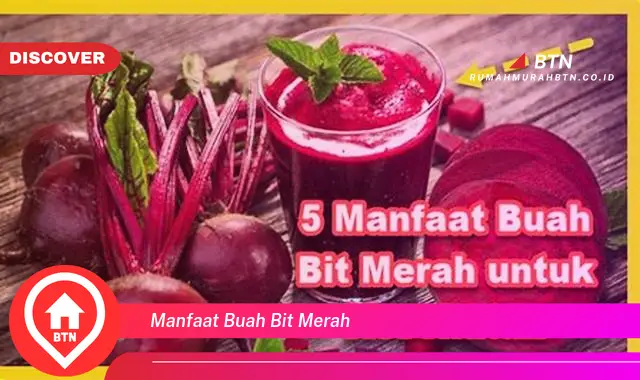 manfaat buah bit merah