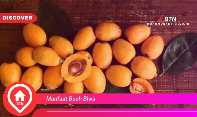 manfaat buah biwa