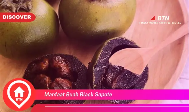 manfaat buah black sapote