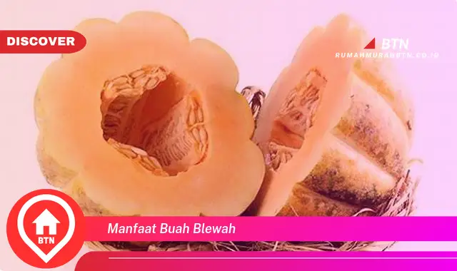 manfaat buah blewah