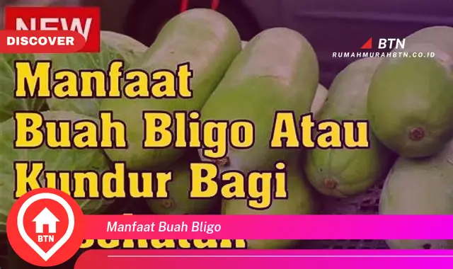 manfaat buah bligo