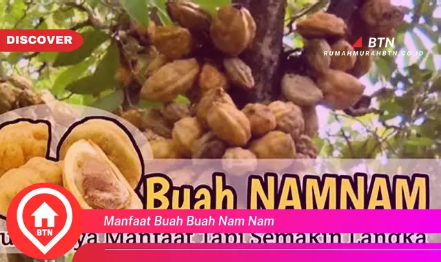 manfaat buah buah nam nam