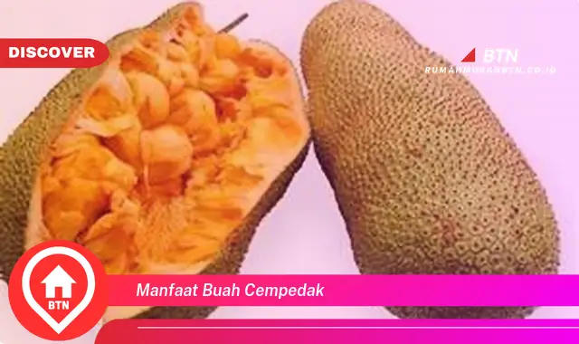 manfaat buah cempedak