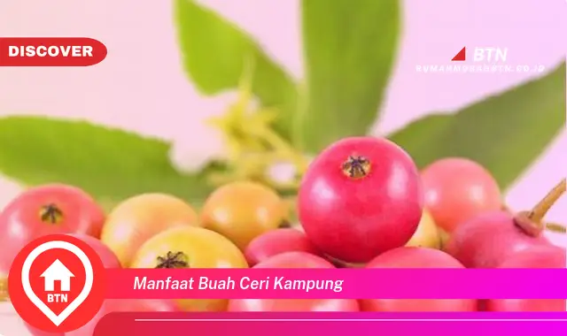 manfaat buah ceri kampung