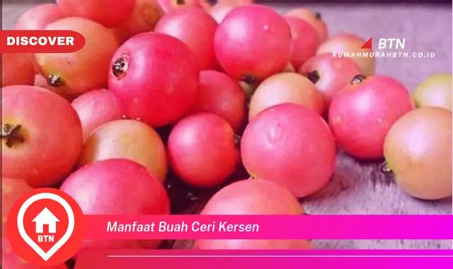 manfaat buah ceri kersen