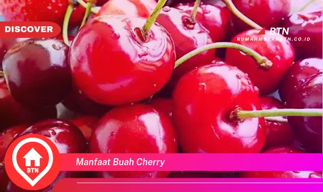 manfaat buah cherry