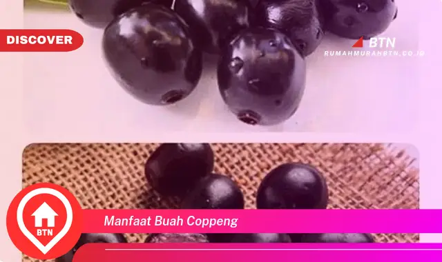 manfaat buah coppeng