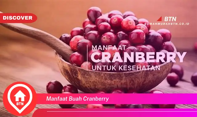 manfaat buah cranberry