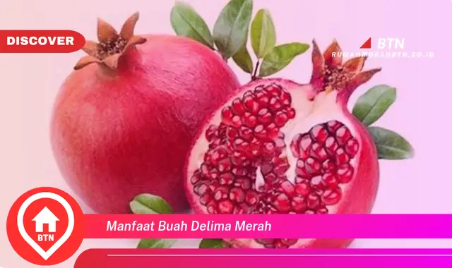 manfaat buah delima merah