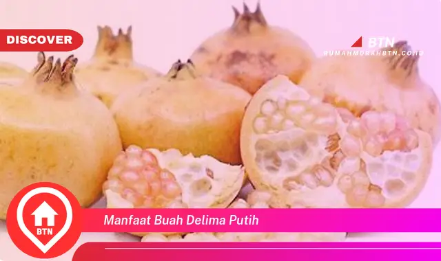 manfaat buah delima putih