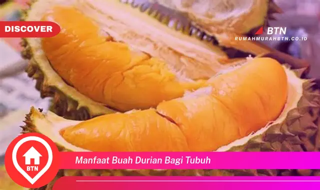 manfaat buah durian bagi tubuh