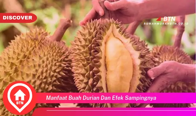 manfaat buah durian dan efek sampingnya