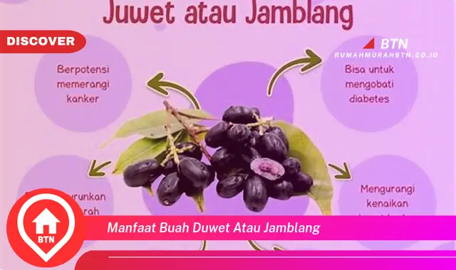 manfaat buah duwet atau jamblang