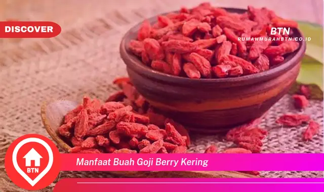 manfaat buah goji berry kering