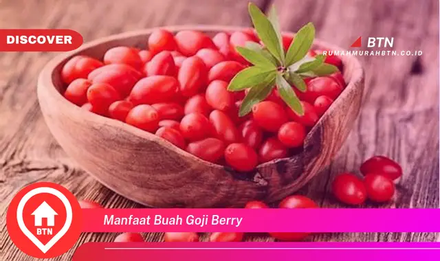 manfaat buah goji berry