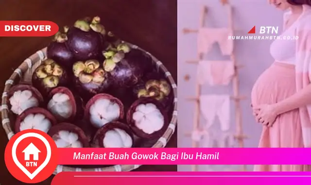 manfaat buah gowok bagi ibu hamil