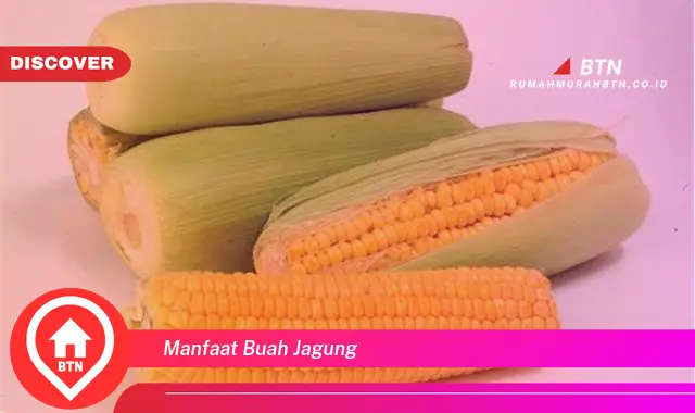 manfaat buah jagung