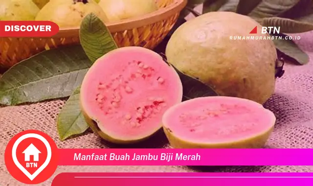 manfaat buah jambu biji merah