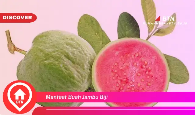 manfaat buah jambu biji