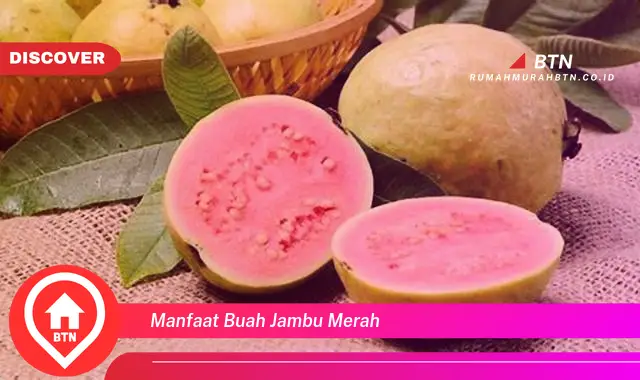 manfaat buah jambu merah