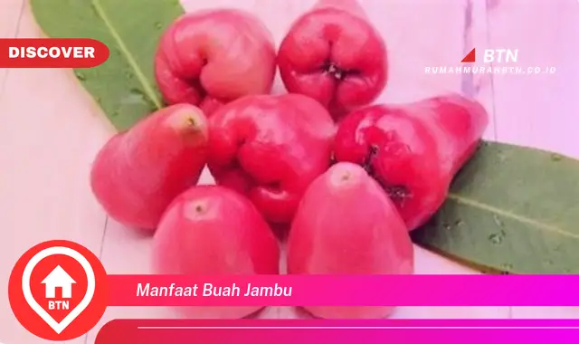 manfaat buah jambu