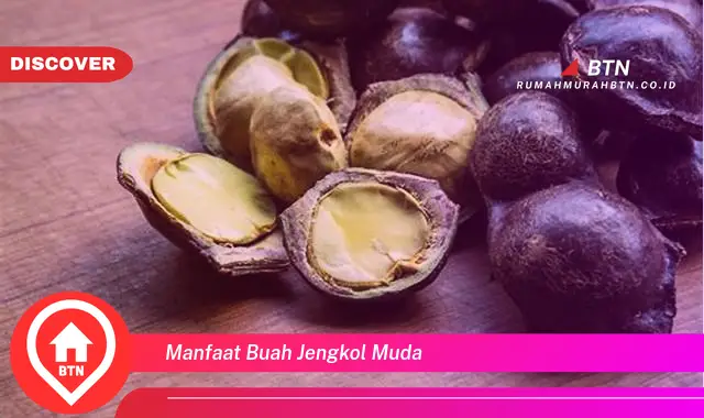 manfaat buah jengkol muda