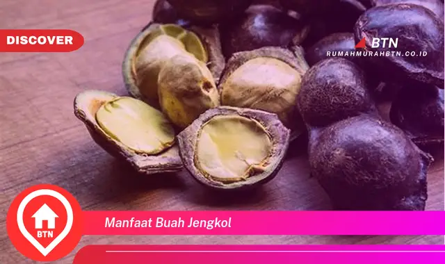 manfaat buah jengkol