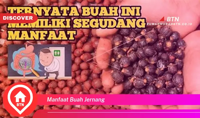 manfaat buah jernang