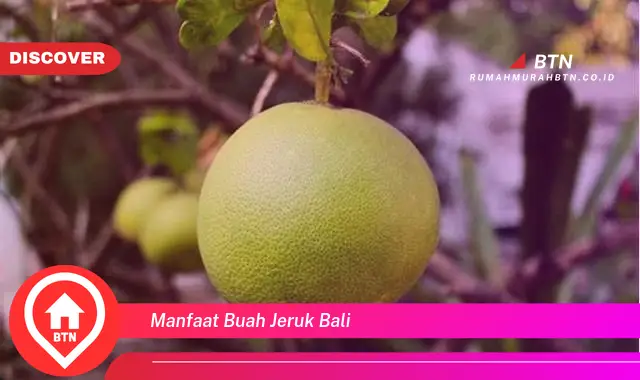 manfaat buah jeruk bali