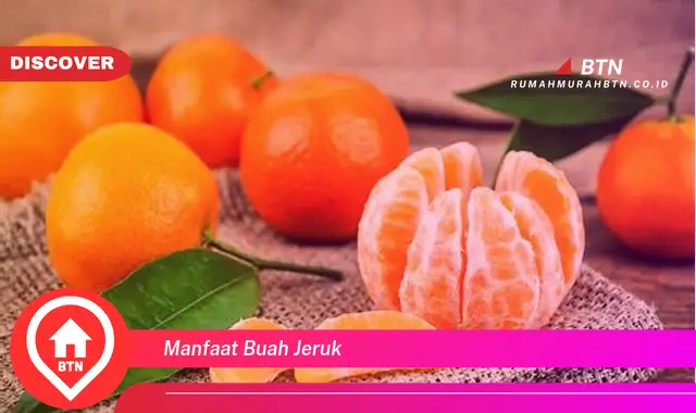 manfaat buah jeruk