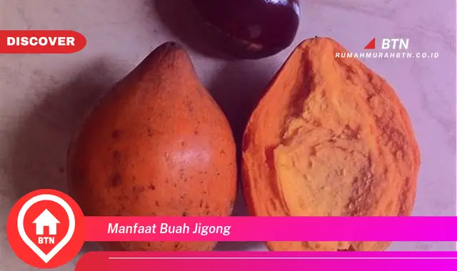 manfaat buah jigong