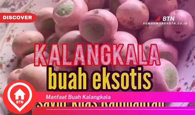 manfaat buah kalangkala