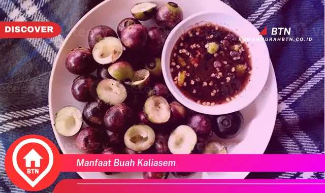 manfaat buah kaliasem