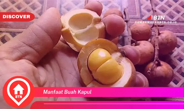 manfaat buah kapul