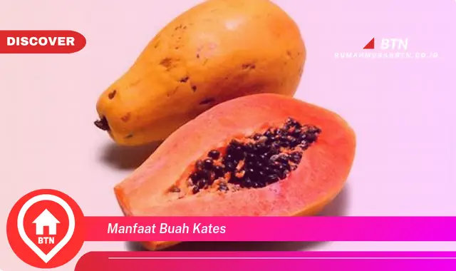 manfaat buah kates