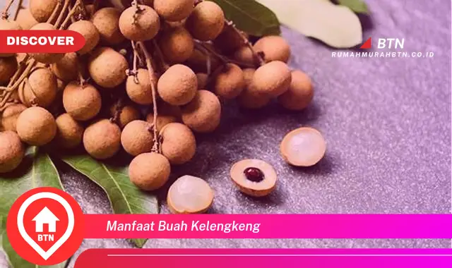 manfaat buah kelengkeng