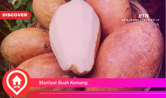 manfaat buah kemang