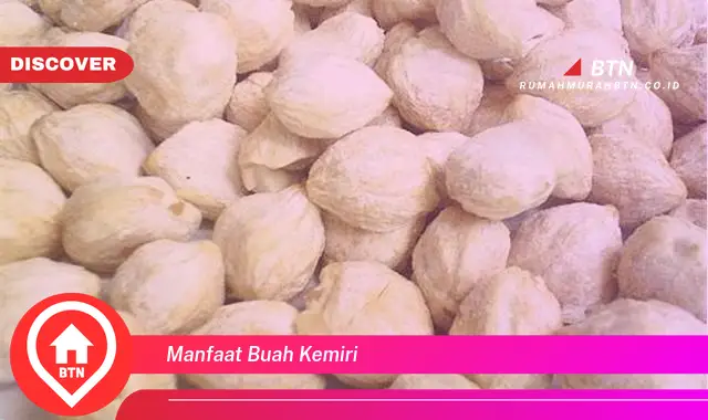 manfaat buah kemiri