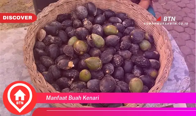 manfaat buah kenari