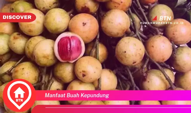 manfaat buah kepundung